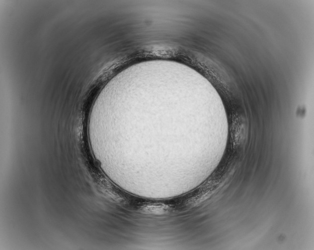 X0000099300595200805231344