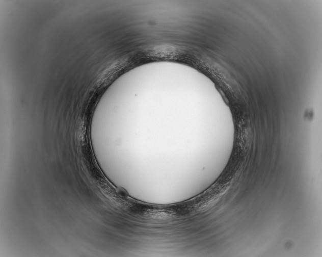 X0000099300597200805231344