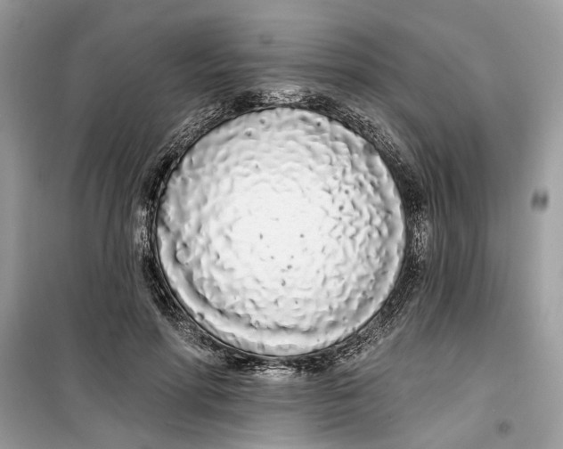 X0000099300598200805231344