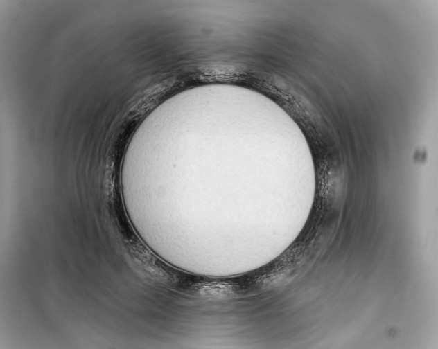 X0000099300599200805231344