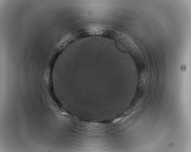 X0000099300600200805231344