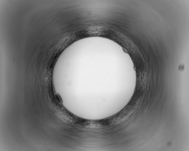 X0000099300601200805231343