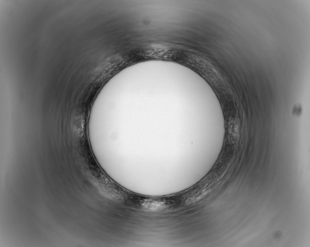 X0000099300602200805231343