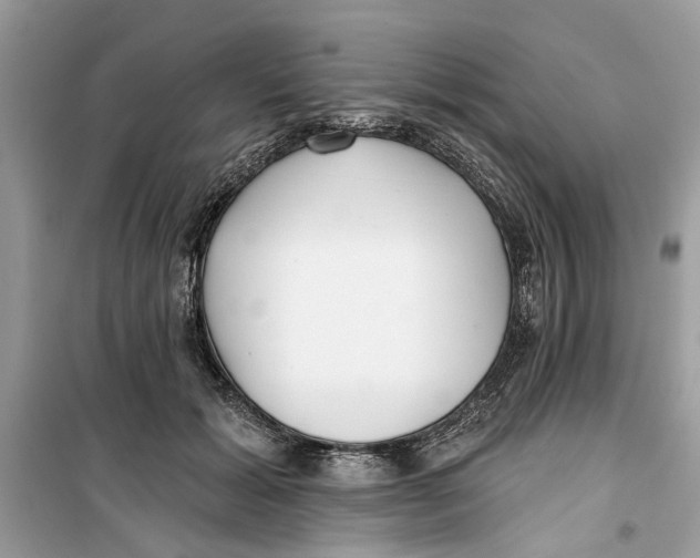 X0000099300605200805231343