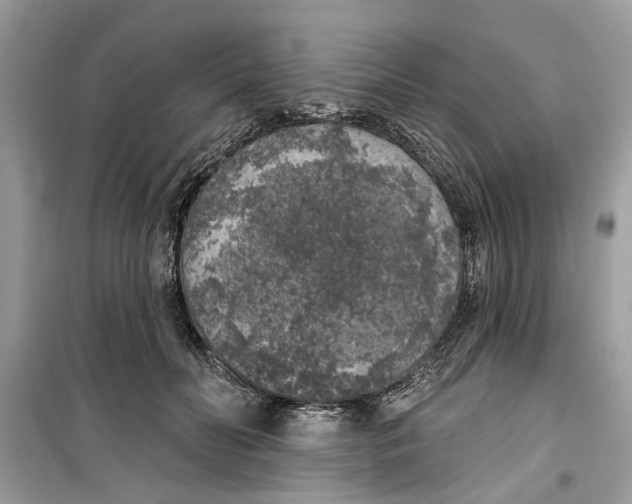 X0000099300606200805231343