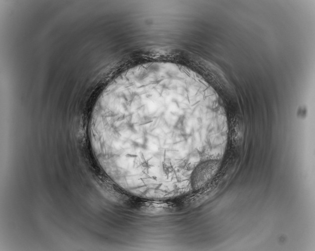 X0000099300607200805231343