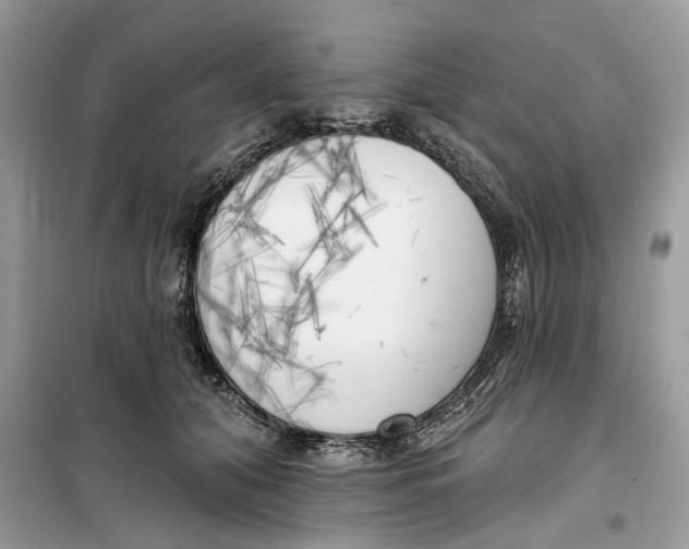 X0000099300608200805231343