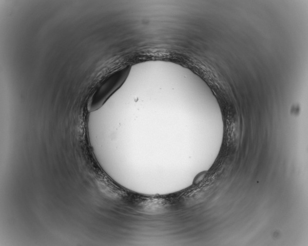 X0000099300609200805231343