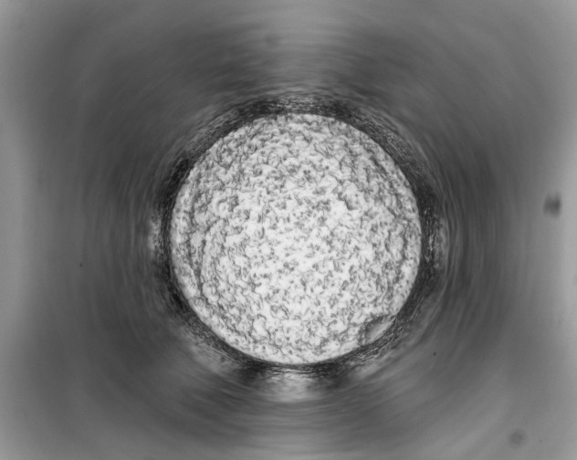 X0000099300610200805231343