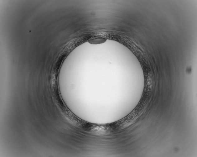 X0000099300611200805231343