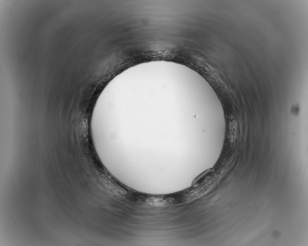 X0000099300613200805231343