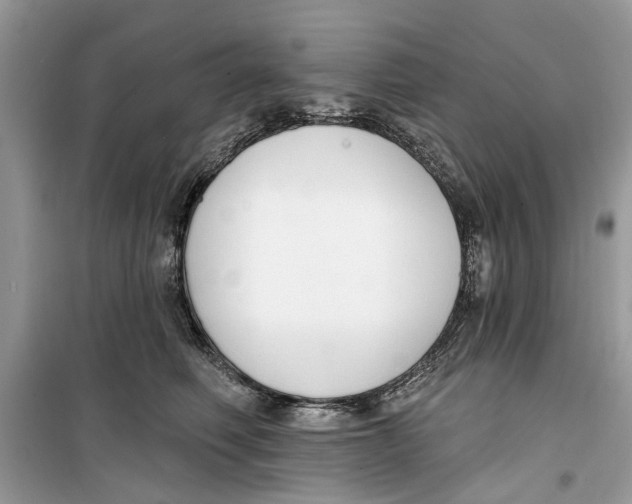 X0000099300614200805231343