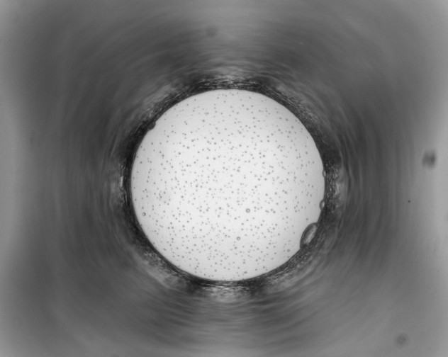 X0000099300615200805231343