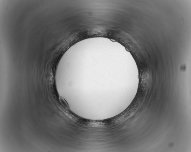 X0000099300617200805231343