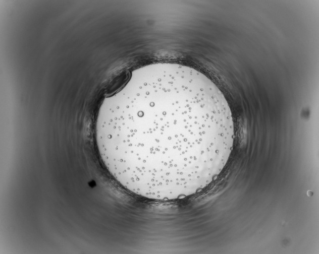 X0000099300619200805231343