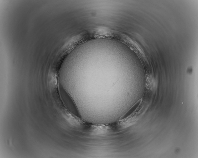 X0000099300621200805231343