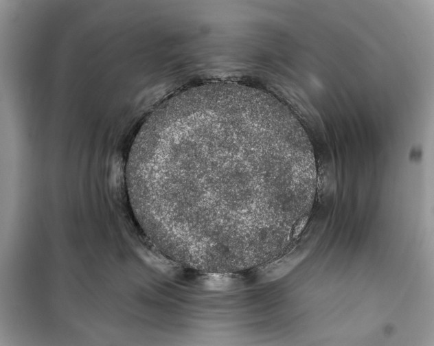 X0000099300623200805231343