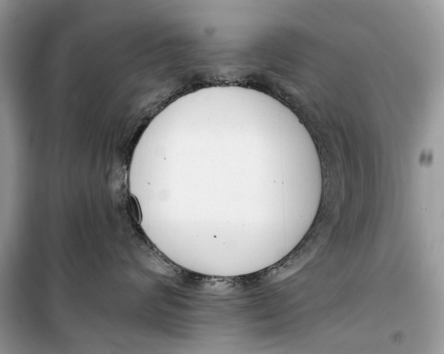 X0000099300624200805231343