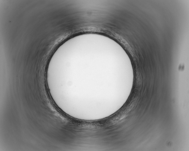 X0000099300625200805231343