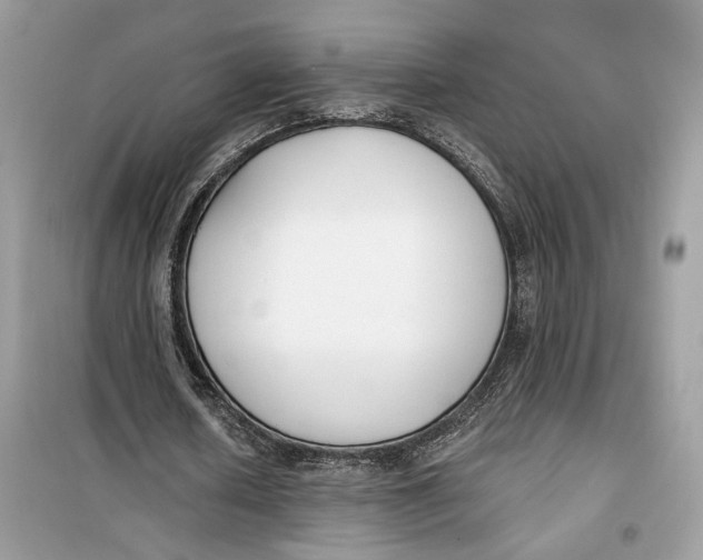 X0000099300626200805231343