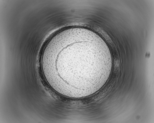 X0000099300628200805231343