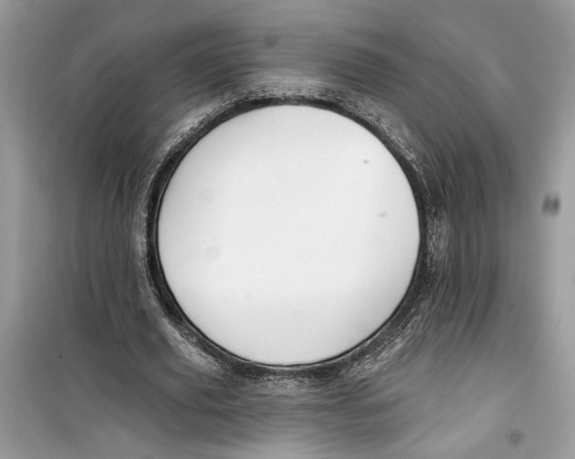 X0000099300629200805231343