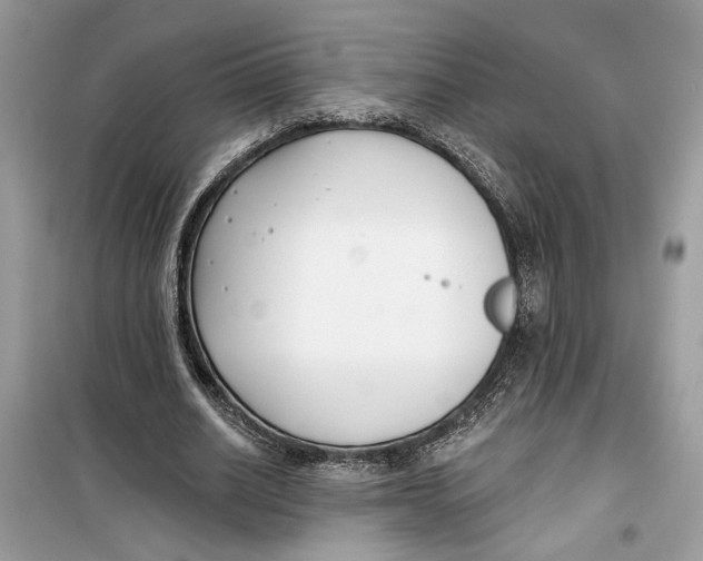 X0000099300630200805231343