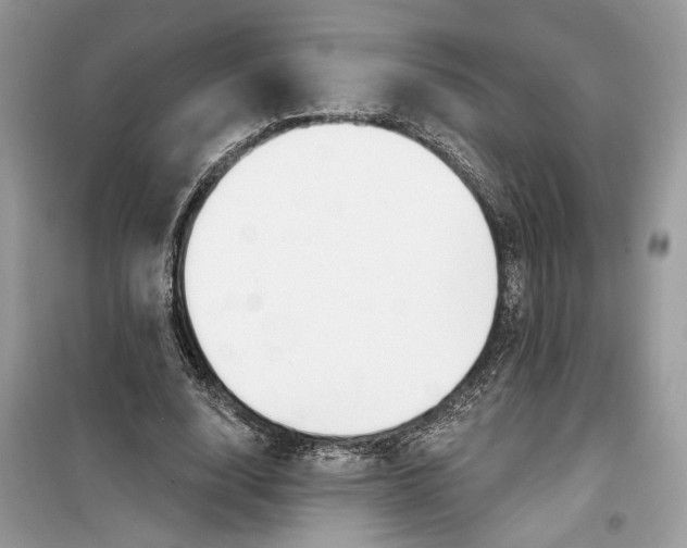 X0000099300632200805231343