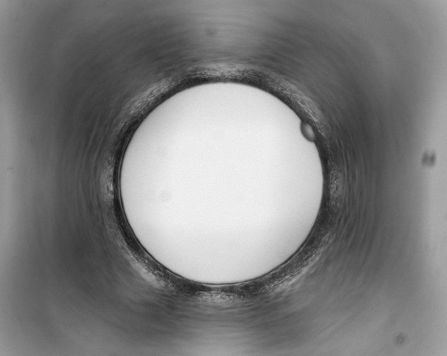 X0000099300633200805231343