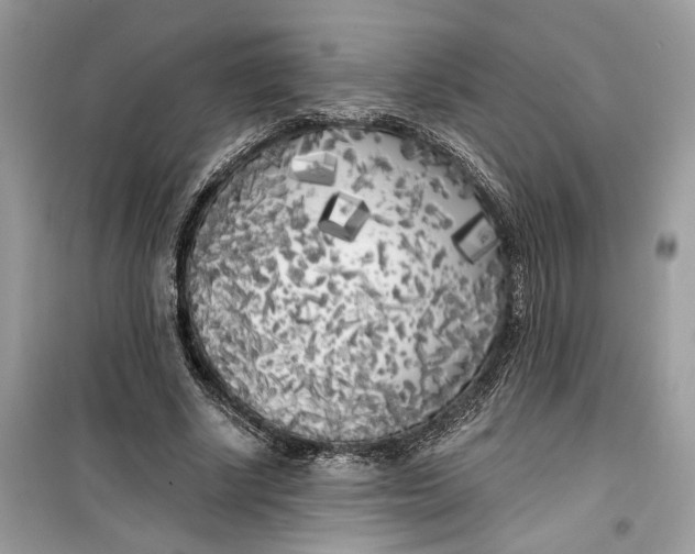 X0000099300634200805231343