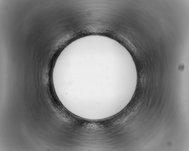 X0000099300635200805231343