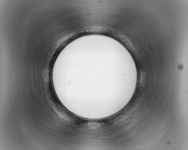 X0000099300636200805231343