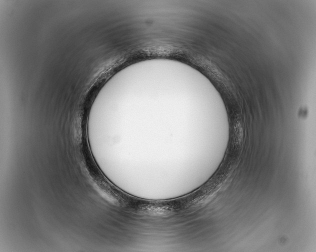 X0000099300638200805231343