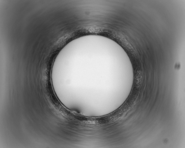 X0000099300639200805231343