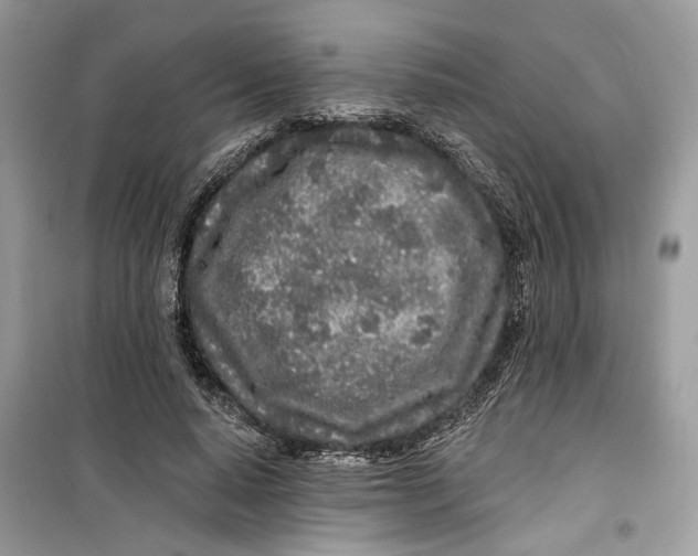 X0000099300640200805231343