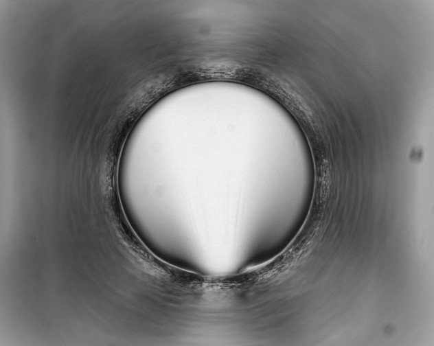 X0000099300641200805231343