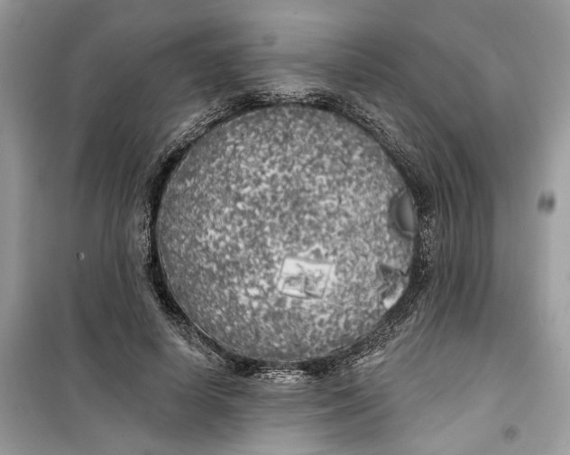 X0000099300642200805231343