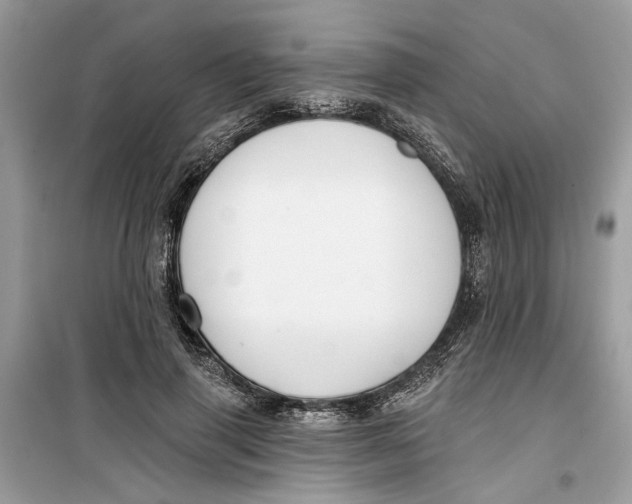 X0000099300645200805231343