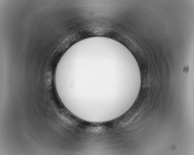 X0000099300646200805231343