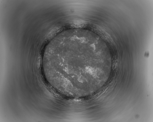 X0000099300647200805231343