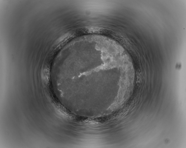 X0000099300648200805231343