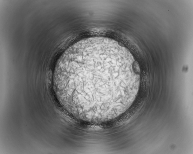 X0000099300649200805231343