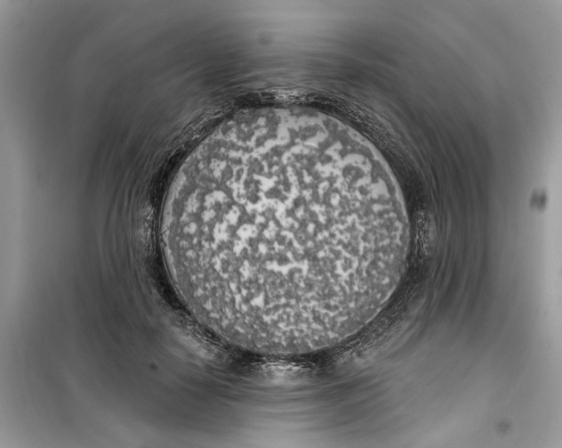 X0000099300650200805231343