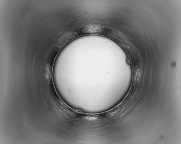 X0000099300651200805231343