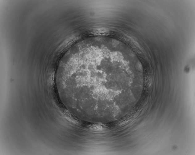 X0000099300652200805231343