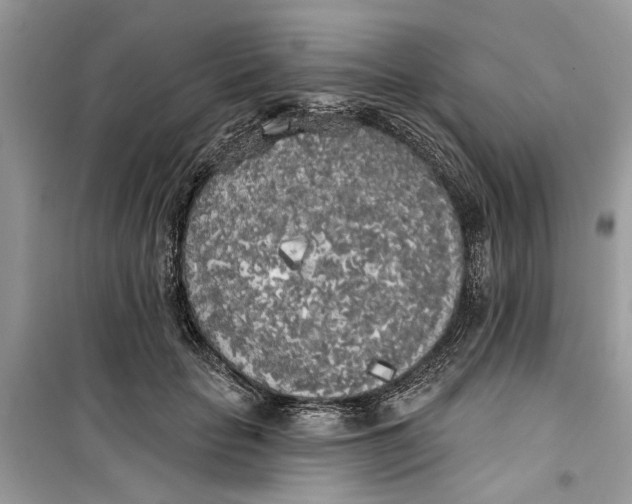 X0000099300653200805231343