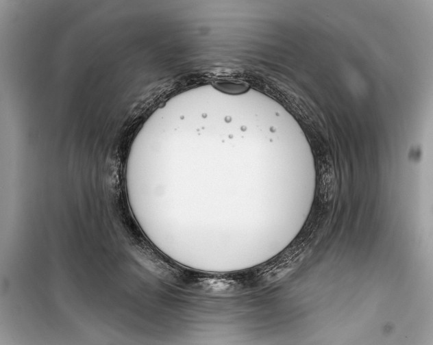 X0000099300654200805231343