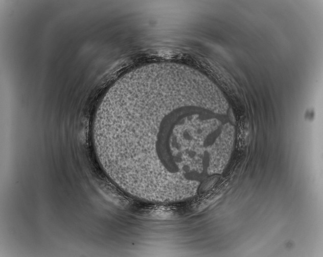 X0000099300656200805231343