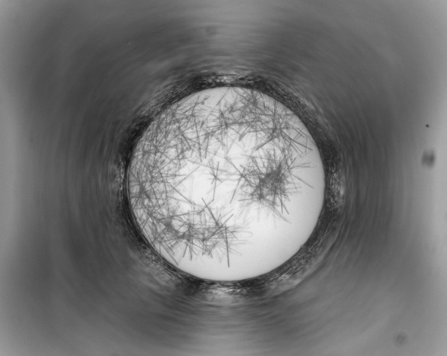 X0000099300657200805231343