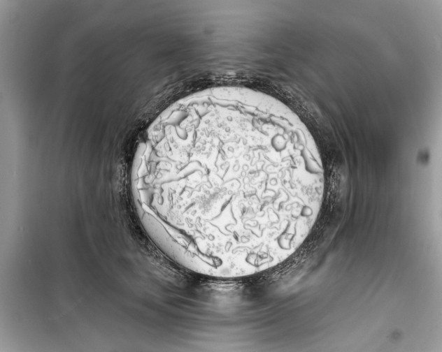 X0000099300659200805231343